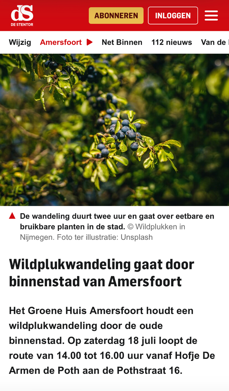 Wildplukwandeling gaat door binnenstad van Amersfoort – De Stentor